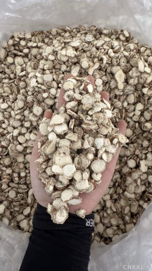 spice_19106_e3ca1d76_1.jpg