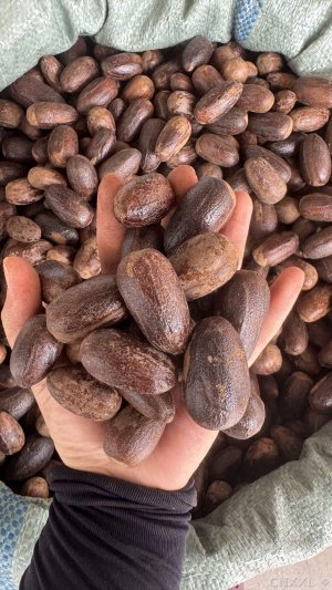 spice_19369_8215bbee_1.jpg