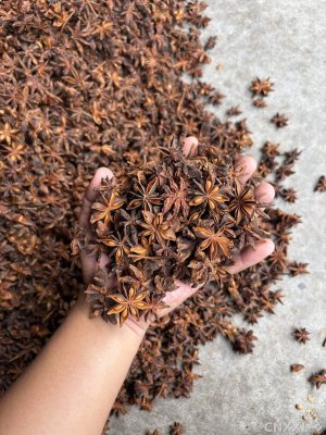 spice_1957327_f70966f9_1.jpg
