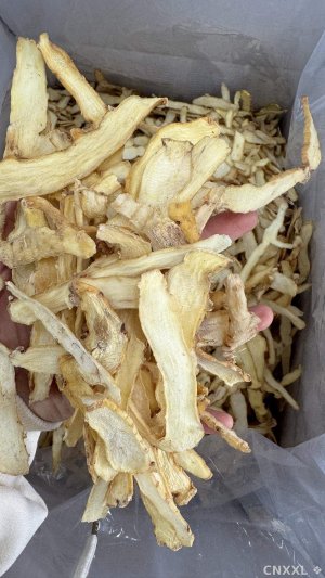 spice_20504_173e590a_1.jpg