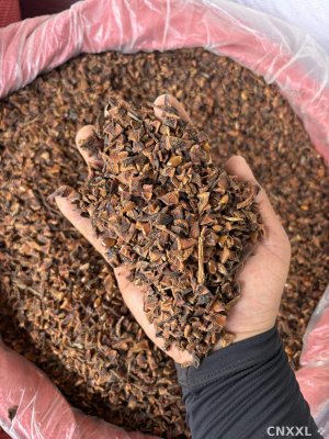 spice_2058544_5b4b8e4a_1.jpg