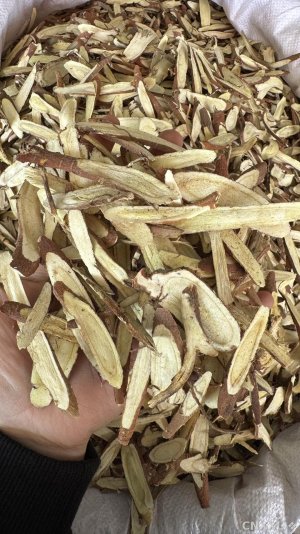 spice_20657_466cdd4d_1.jpg