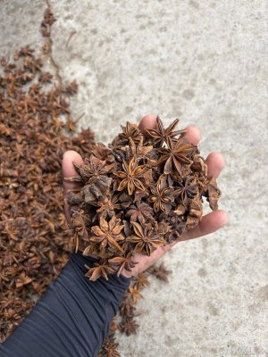spice_21028_cce0867b_1.jpg