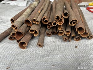 spice_21098_58acdb2e_1.jpg