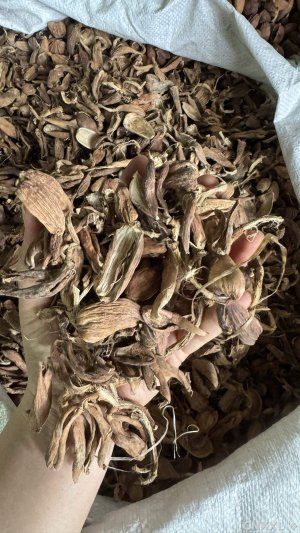 spice_22079_bc64f318_1.jpg