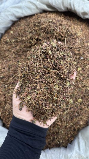 spice_22242_718abd0f_1.jpg