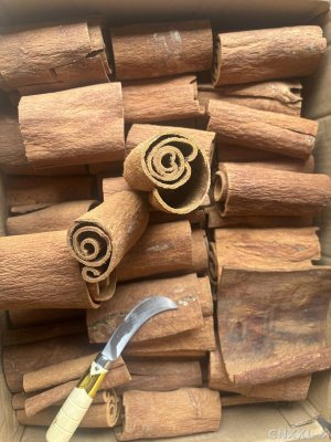 spice_22306_834ef2f4_1.jpg
