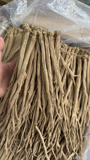 spice_22387_0fde9cd9_1.jpg