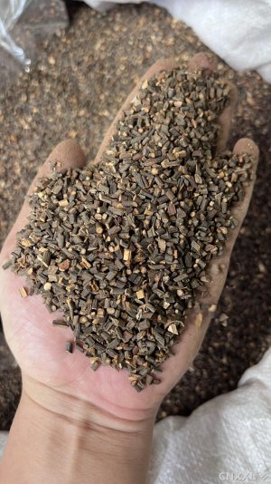spice_25382_2f43634e_1.jpg