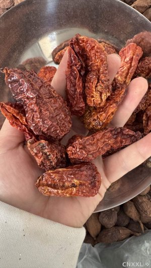 spice_25690_cf20b3df_1.jpg