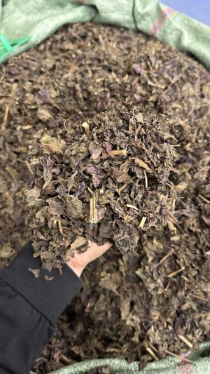 spice_25775_1437bf23_1.jpg