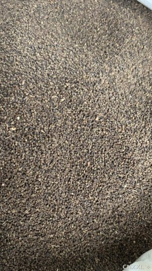spice_25793_40c6a63a_1.jpg