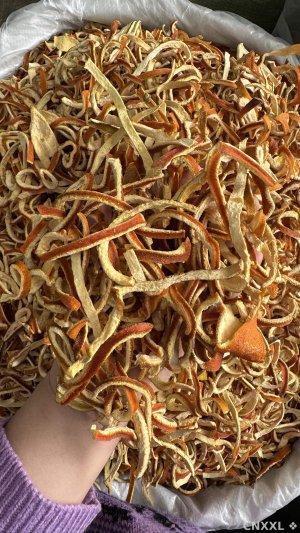spice_25918_3a3516f9_1.jpg
