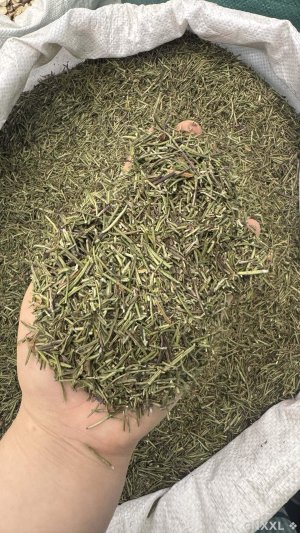spice_25921_c900604c_1.jpg