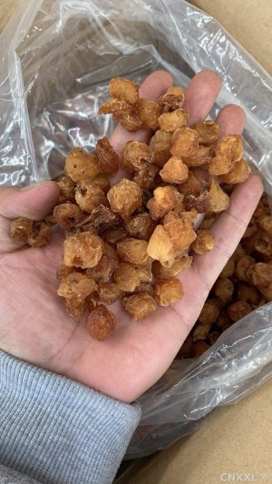 spice_26312_1ae181ce_1.jpg