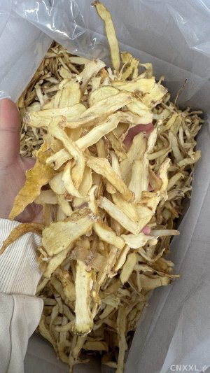 spice_26613_bbfc4ef7_1.jpg