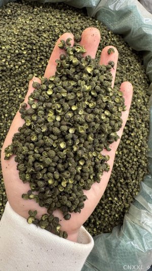 spice_26685_f4d48573_1.jpg