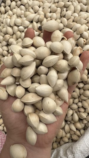 spice_26748_be9ad3a0_1.jpg
