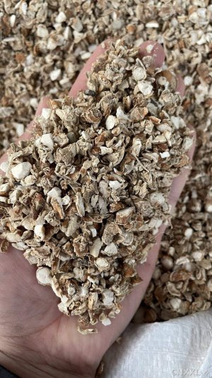 spice_26799_4da2fe72_1.jpg