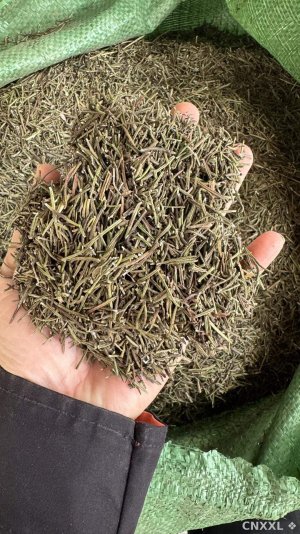spice_26831_005666cf_1.jpg