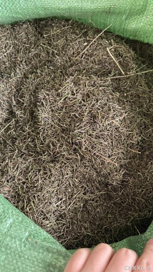 spice_26832_5ec049d8_1.jpg