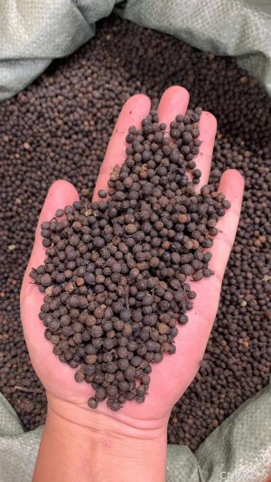 spice_27275_587e0d70_1.jpg