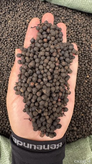 spice_27338_cfb25fc4_1.jpg