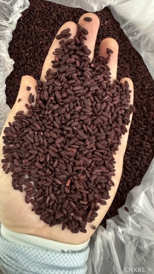spice_27669_3e647fcc_1.jpg
