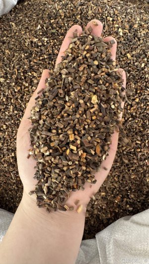 spice_2766_8f9dcd4f_1.jpg