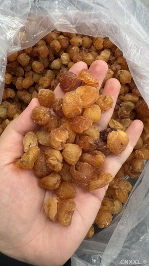 spice_27670_12422104_1.jpg