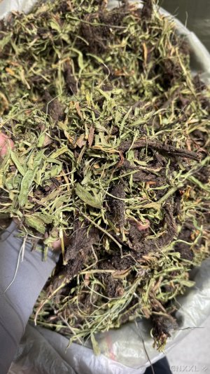 spice_27677_9e02758e_1.jpg