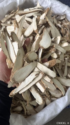 spice_27692_317db7d1_1.jpg