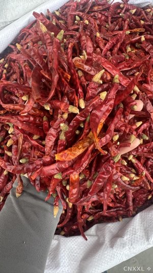 spice_28165_fc2ef764_1.jpg