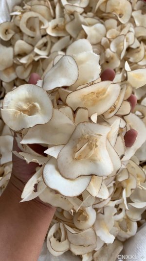 spice_28309_235f85fd_1.jpg