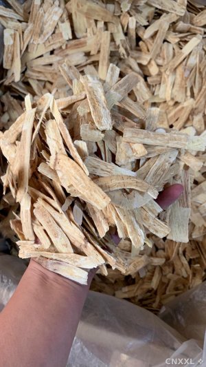 spice_28900_0b847eb0_1.jpg