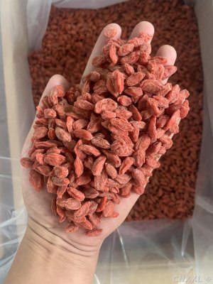 spice_29149_50ce7748_1.jpg
