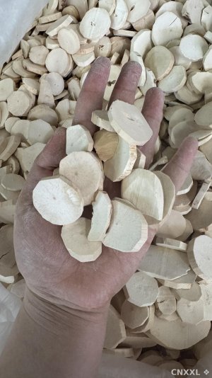 spice_29192_5c043d79_1.jpg