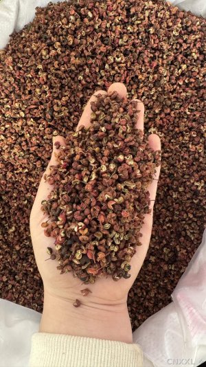 spice_29225_94043dba_1.jpg