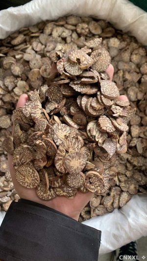 spice_29232_9a5de08f_1.jpg