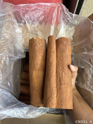 spice_29409_a536c50c_1.jpg