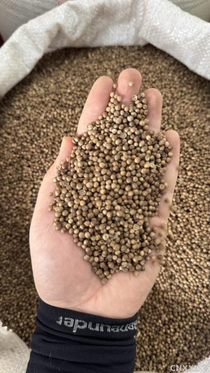 spice_367667_e4dfa22b_1.jpg