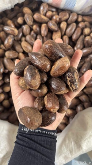 spice_417475_74d3f78c_1.jpg