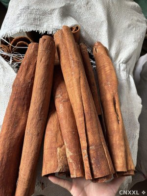 spice_452377_a80057d5_1.jpg