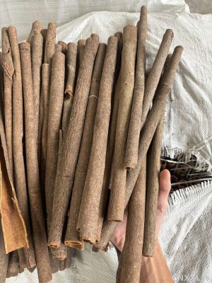 spice_457334_1a4c5d7b_1.jpg