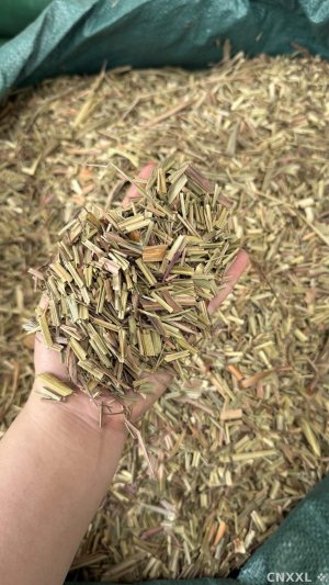 spice_457337_d1fec76b_1.jpg