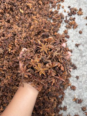 spice_49379_5f9dc3a5_1.jpg