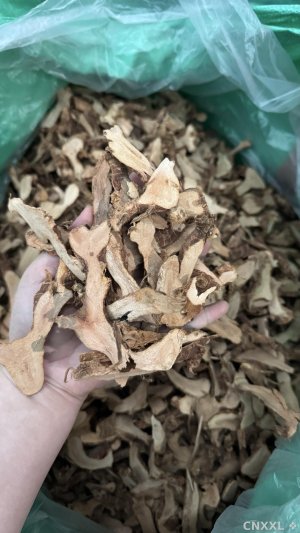 spice_557148_73eccad9_1.jpg