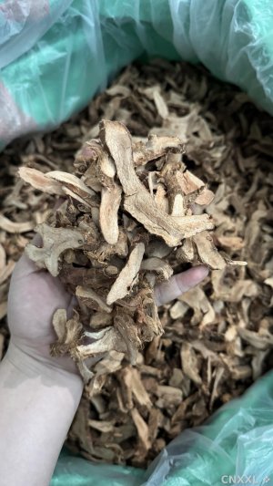 spice_557149_30fa971d_1.jpg