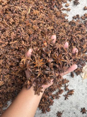 spice_642064_392dab27_1.jpg