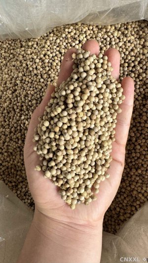 spice_757066_5a47b0e4_1.jpg
